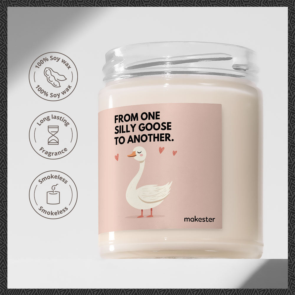 Silly Goose