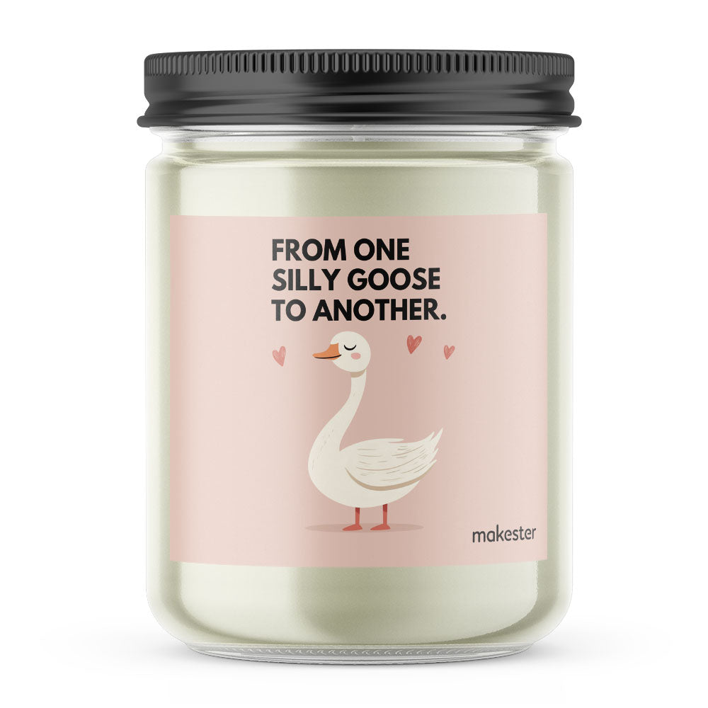 Silly Goose