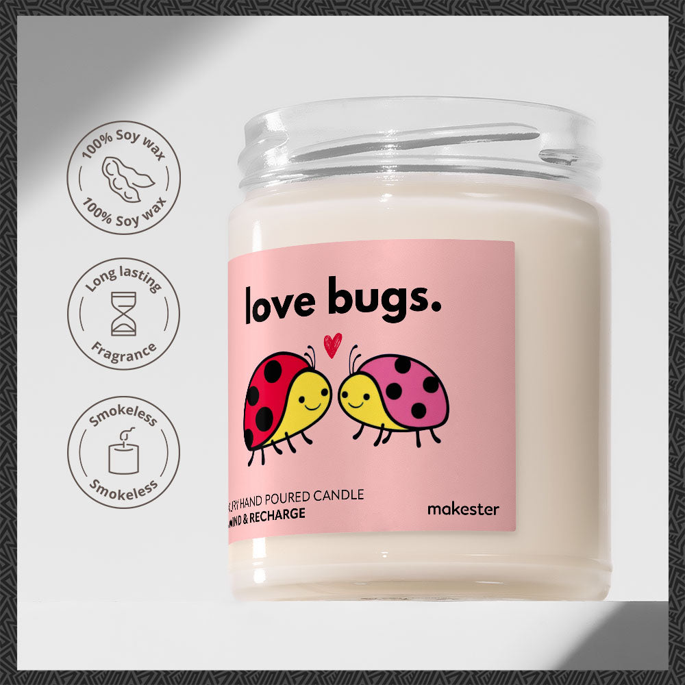 Ladybird Love Bugs