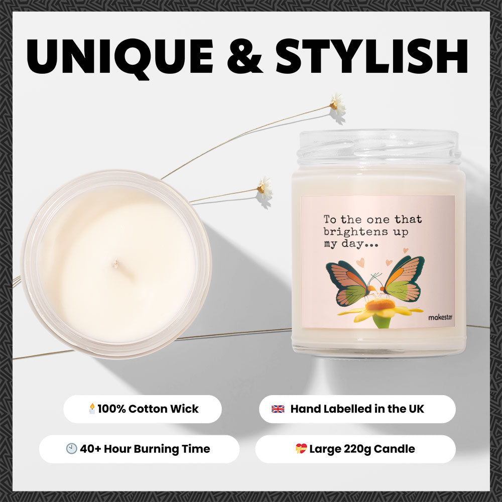 Butterfly Friendship