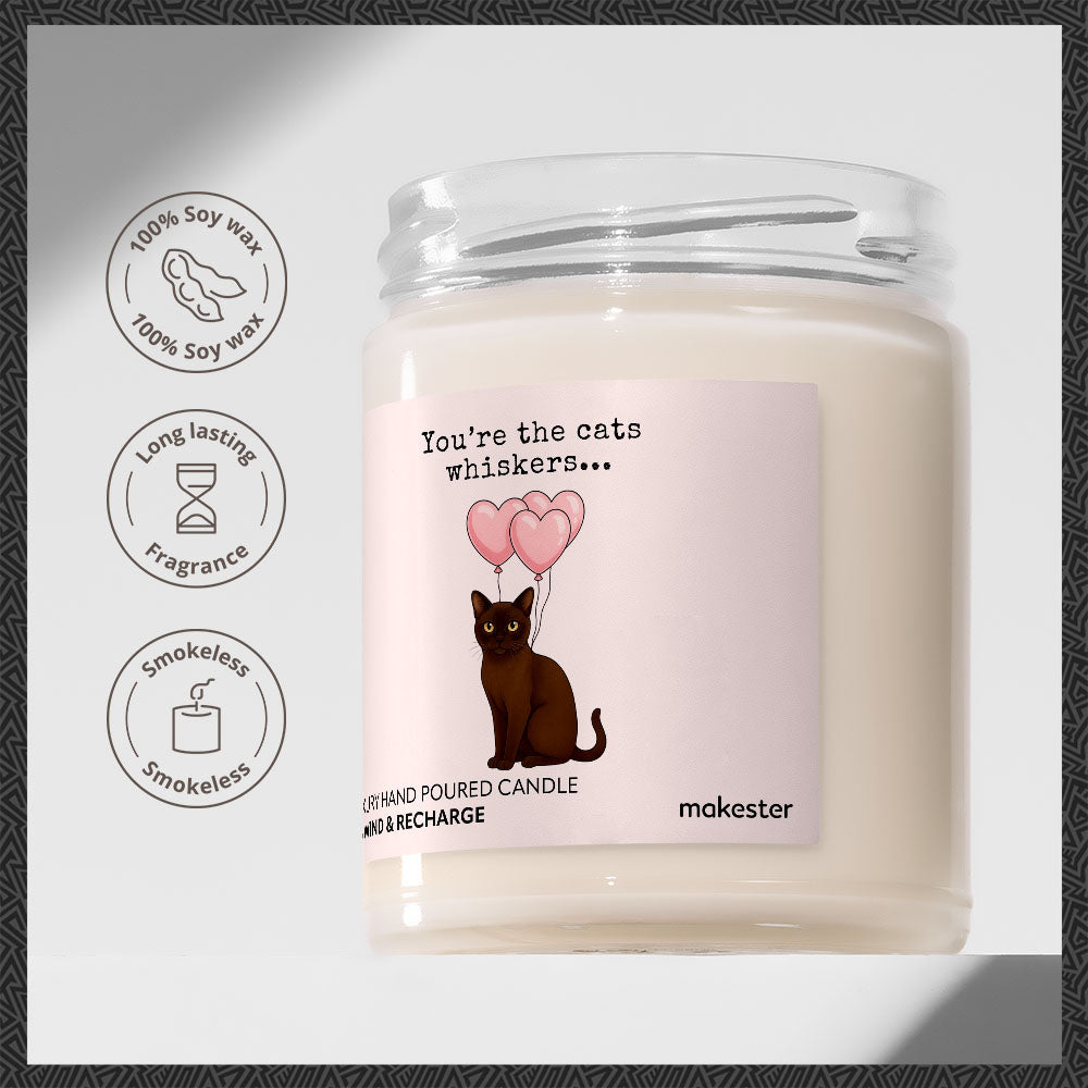 Burmese Cats Whiskers