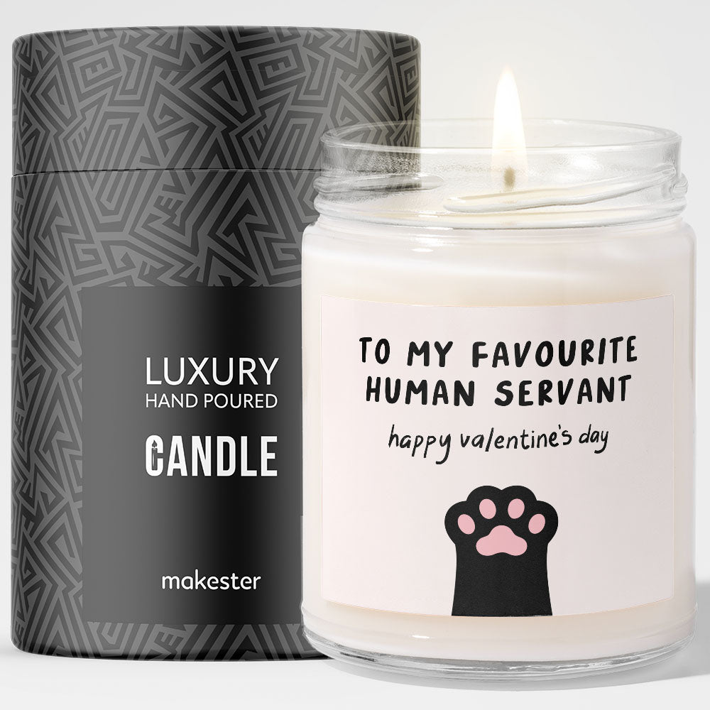 Human Servant Valentines