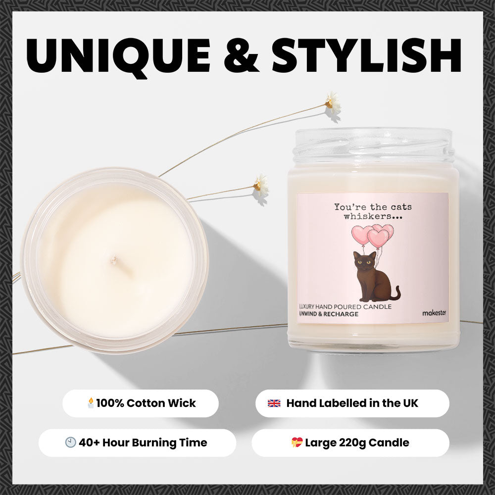 Burmese Cats Whiskers