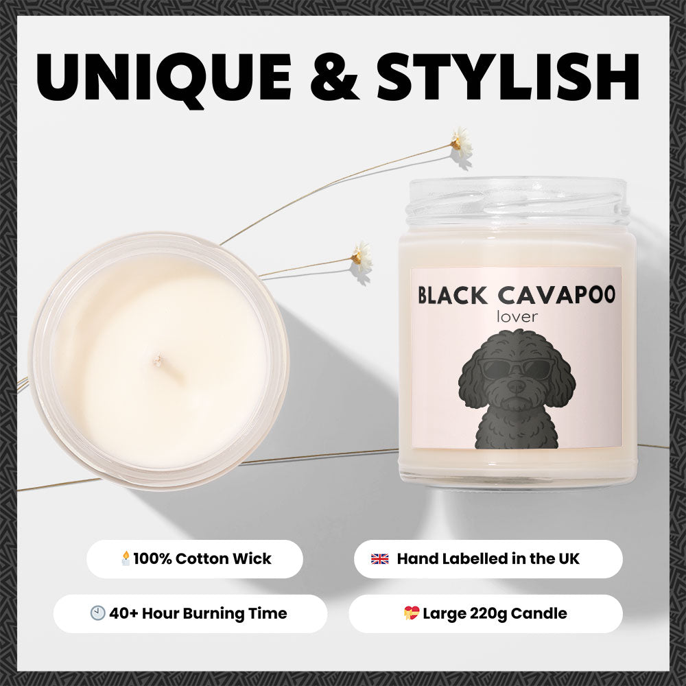 Black Cavapoo Lover