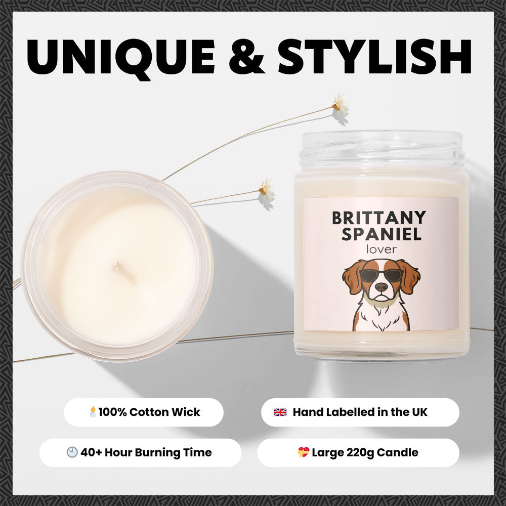 Brittany Spaniel Lover