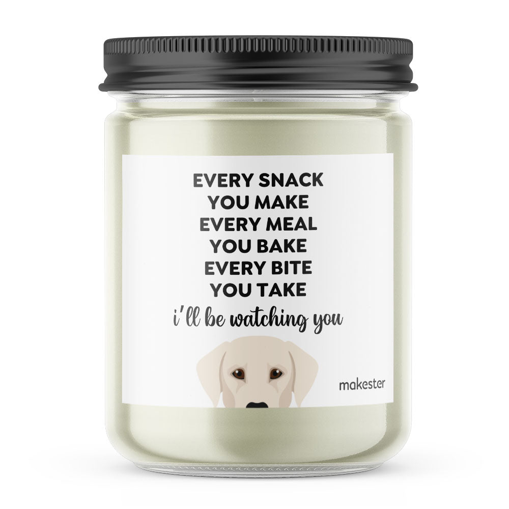 Watching You Silver Lab