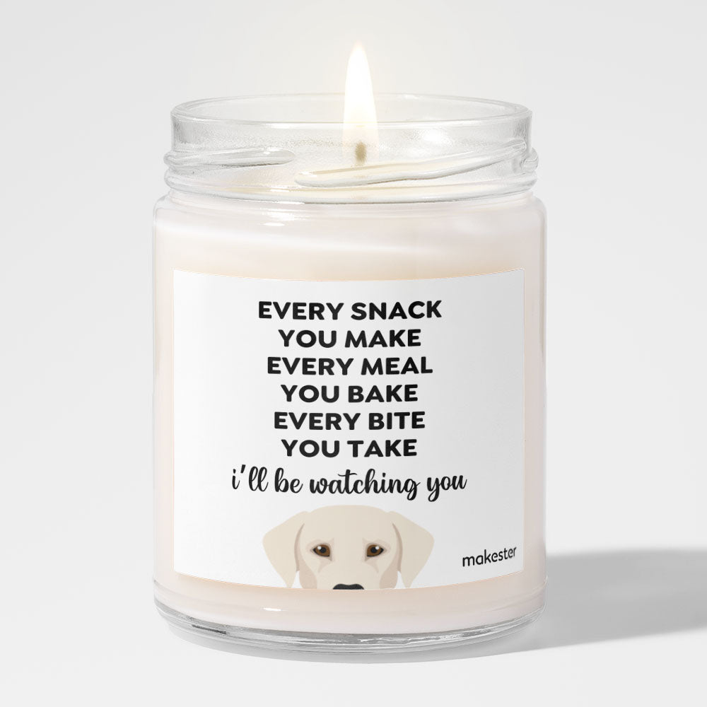 Watching You Silver Lab