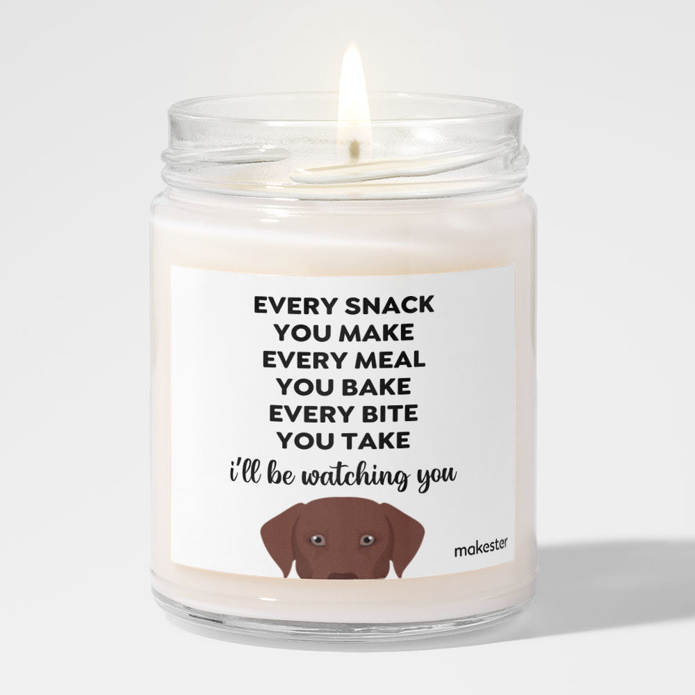 Watching You Brown Lab