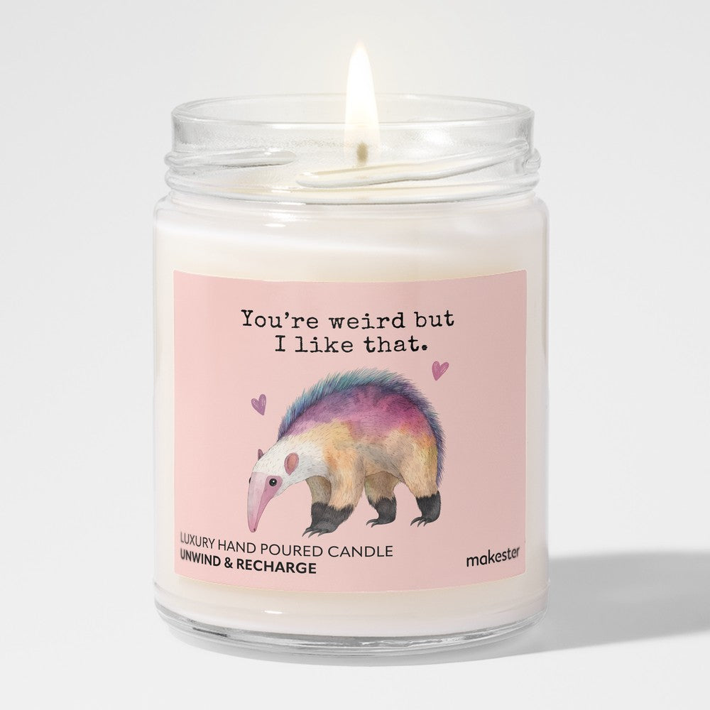 Anteater Weird