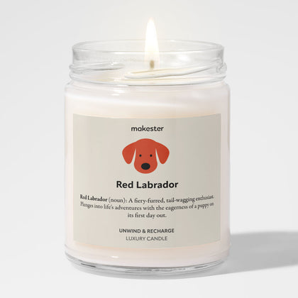 Red Labrador
