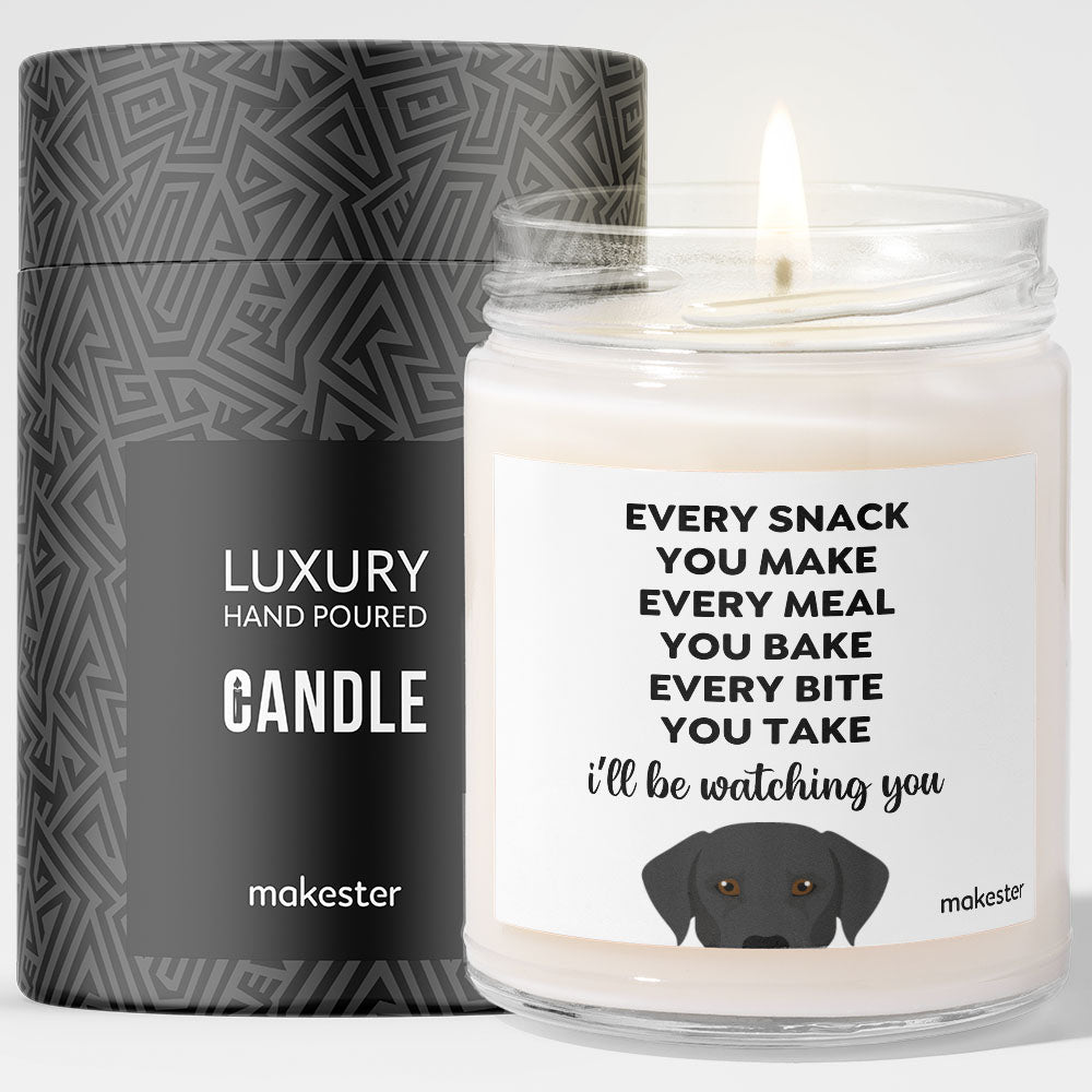 Watching You Black Lab