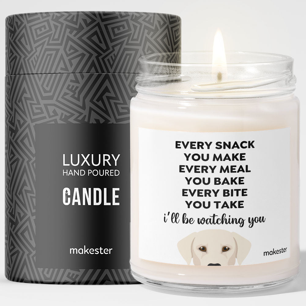 Watching You Silver Lab