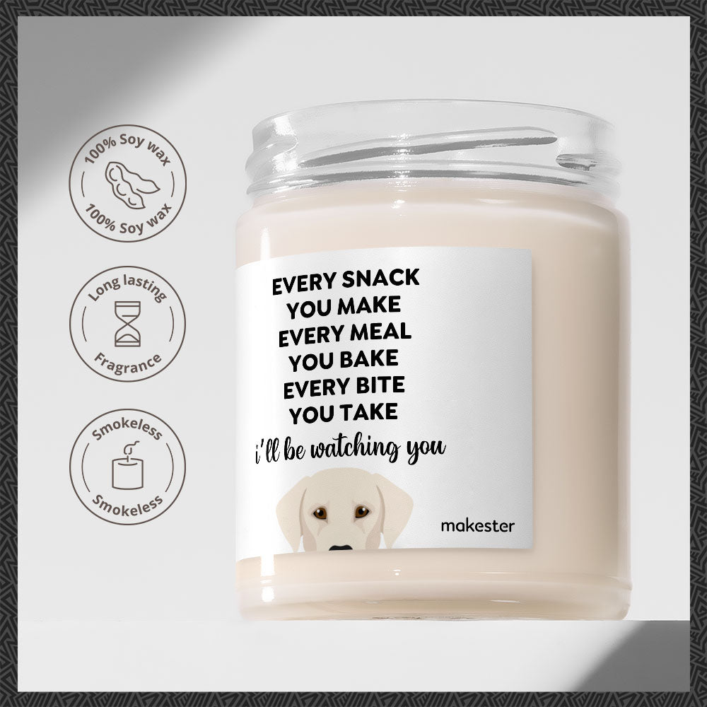 Watching You Silver Lab