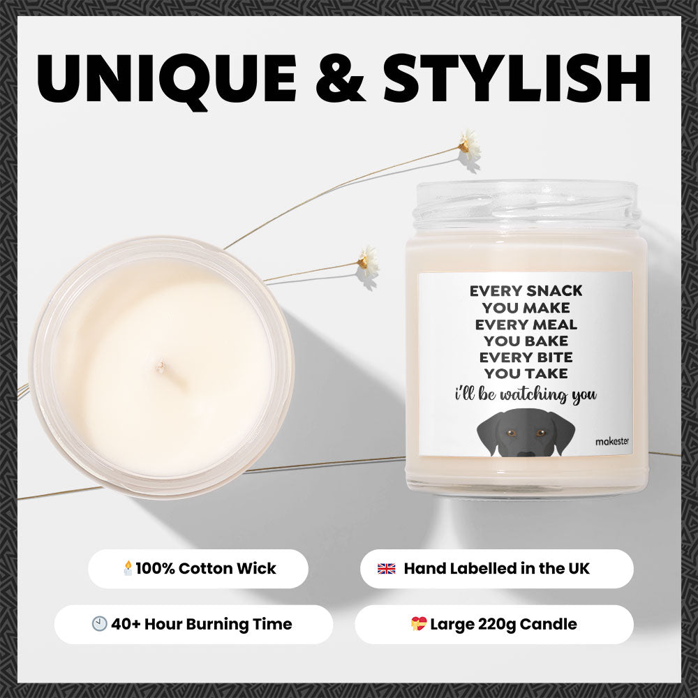 Watching You Black Lab