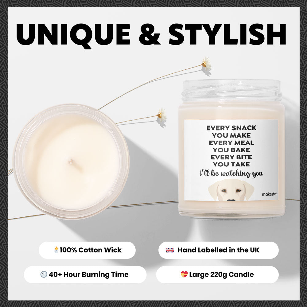 Watching You Silver Lab