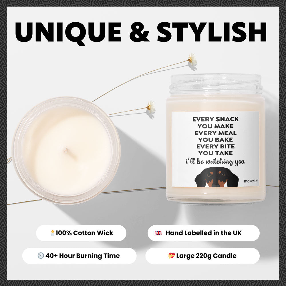 Watching You Dachshund