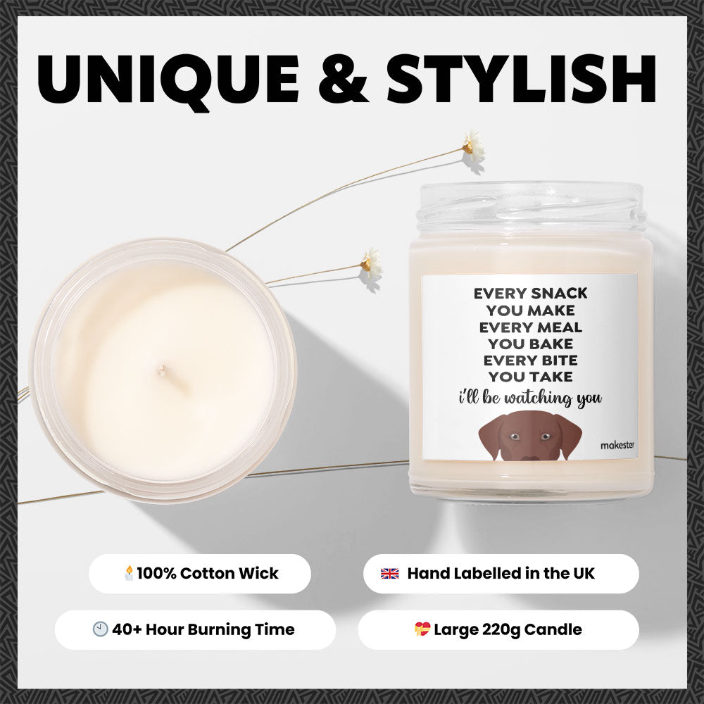 Watching You Brown Lab