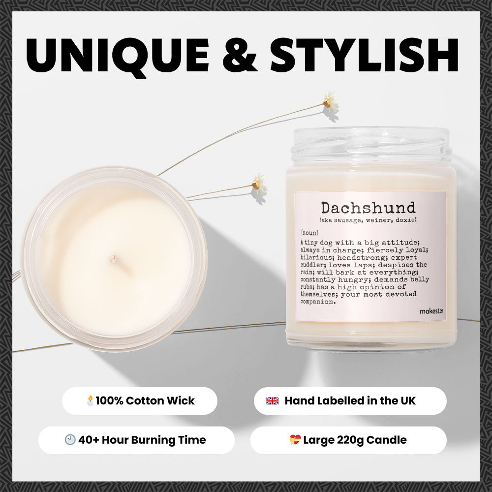 Dachshund Definition