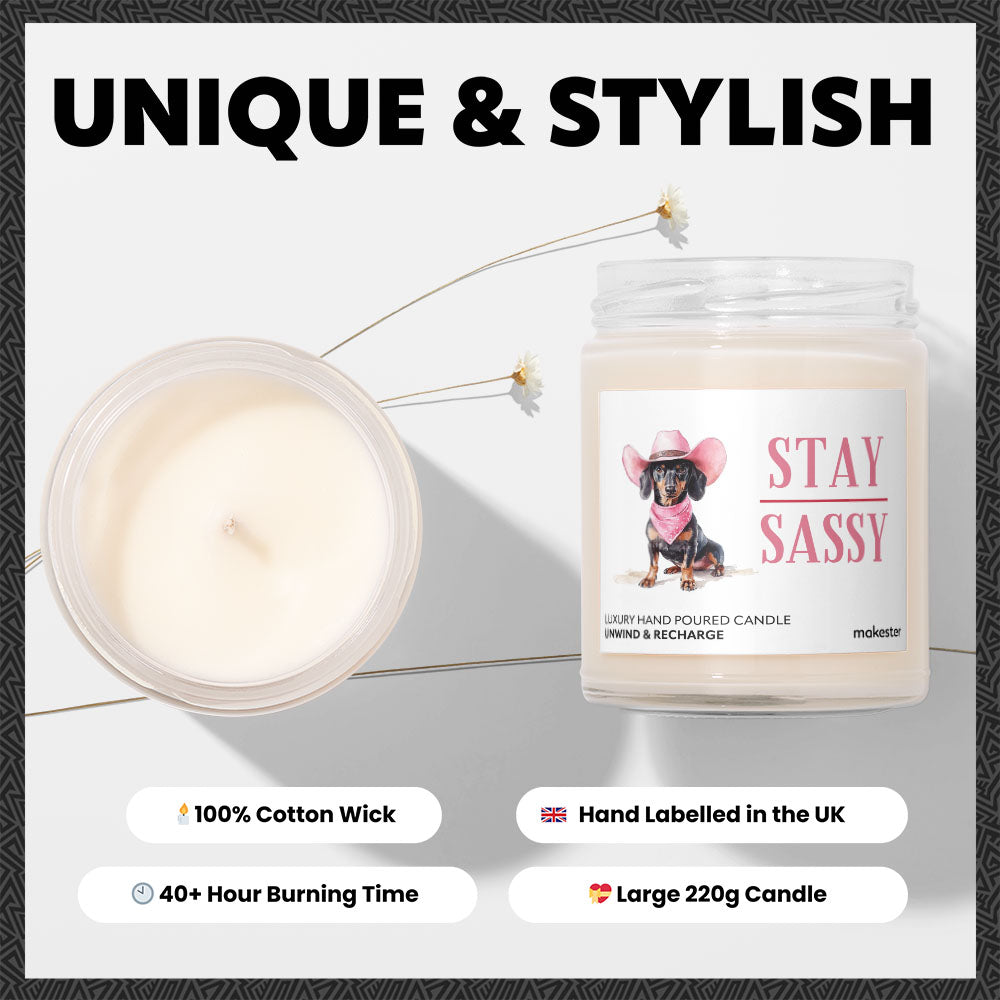 Dachshund Stay Sassy