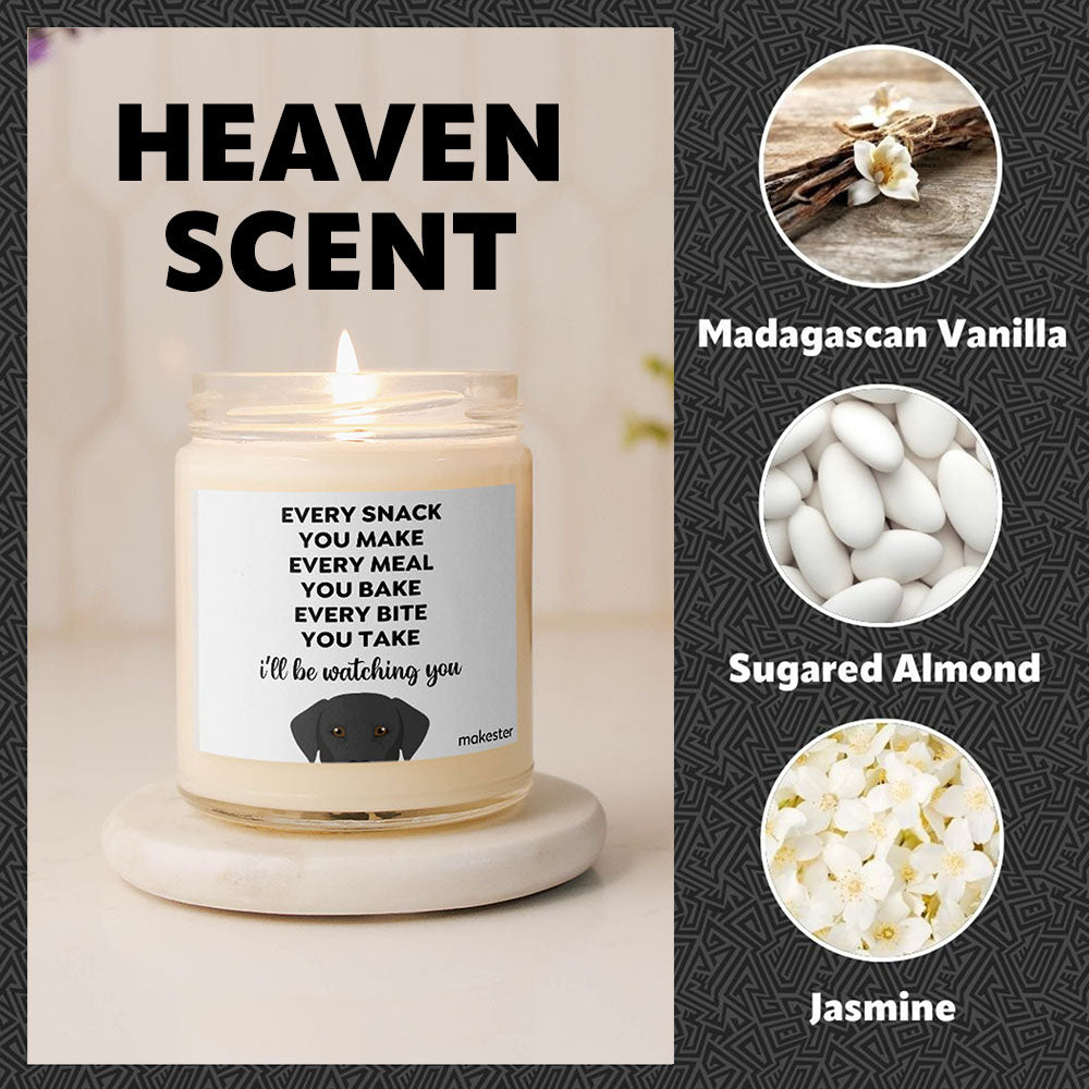 Watching You Black Lab