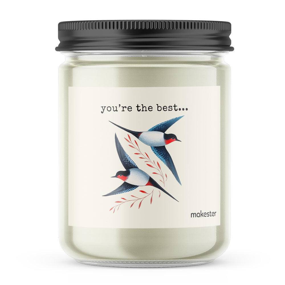 Swallow Best