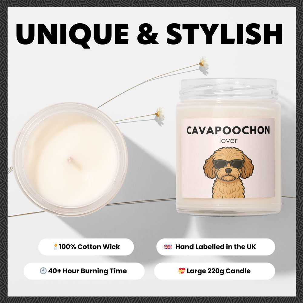 Cavapoochon Lover