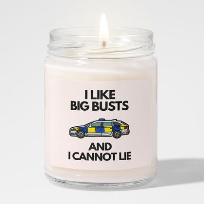 Police Busts