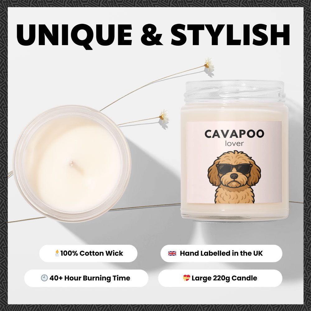 Cavapoo Lover
