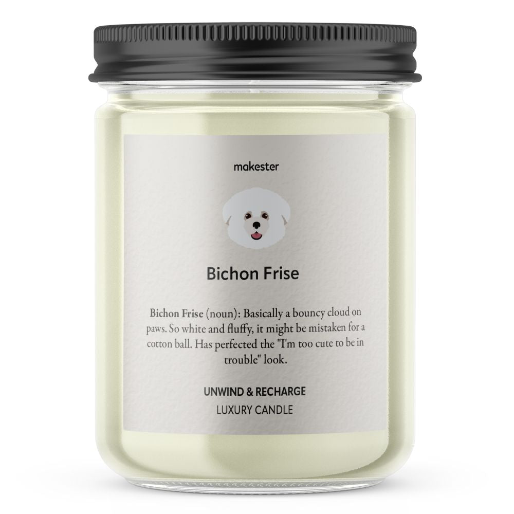 Bichon Frise - Makester-