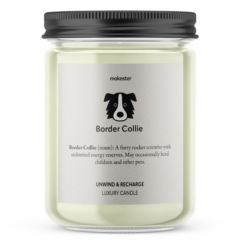 Border Collie - Makester-