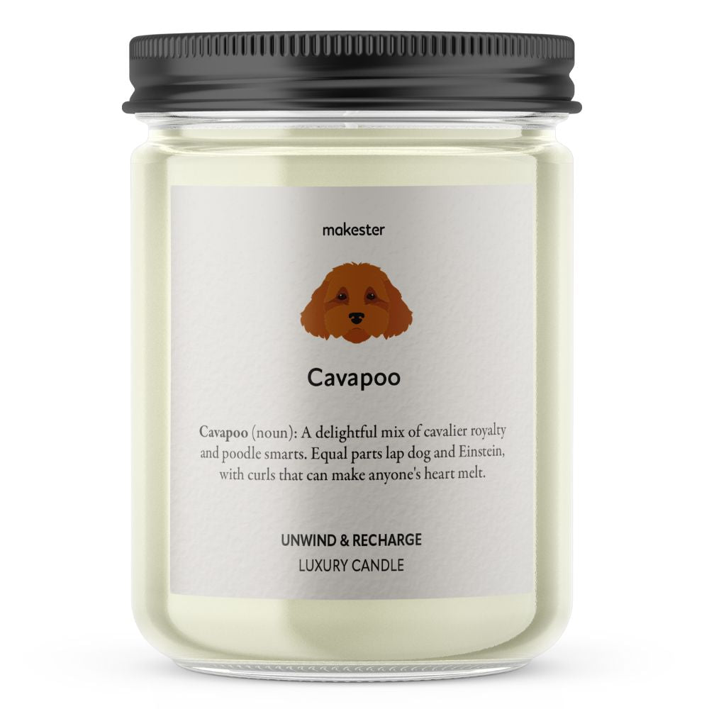 Cavapoo - Makester-