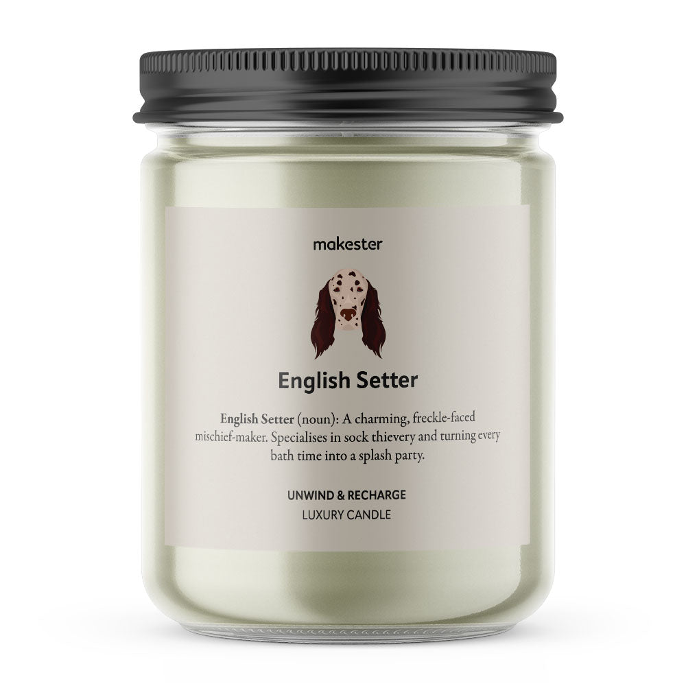 English Setter - Makester-