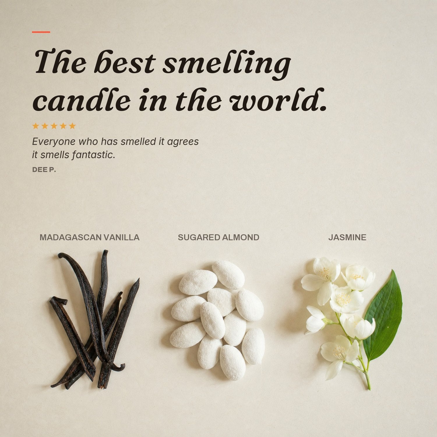 Scent notes — Madagascan vanilla, sugared almond and jasmine