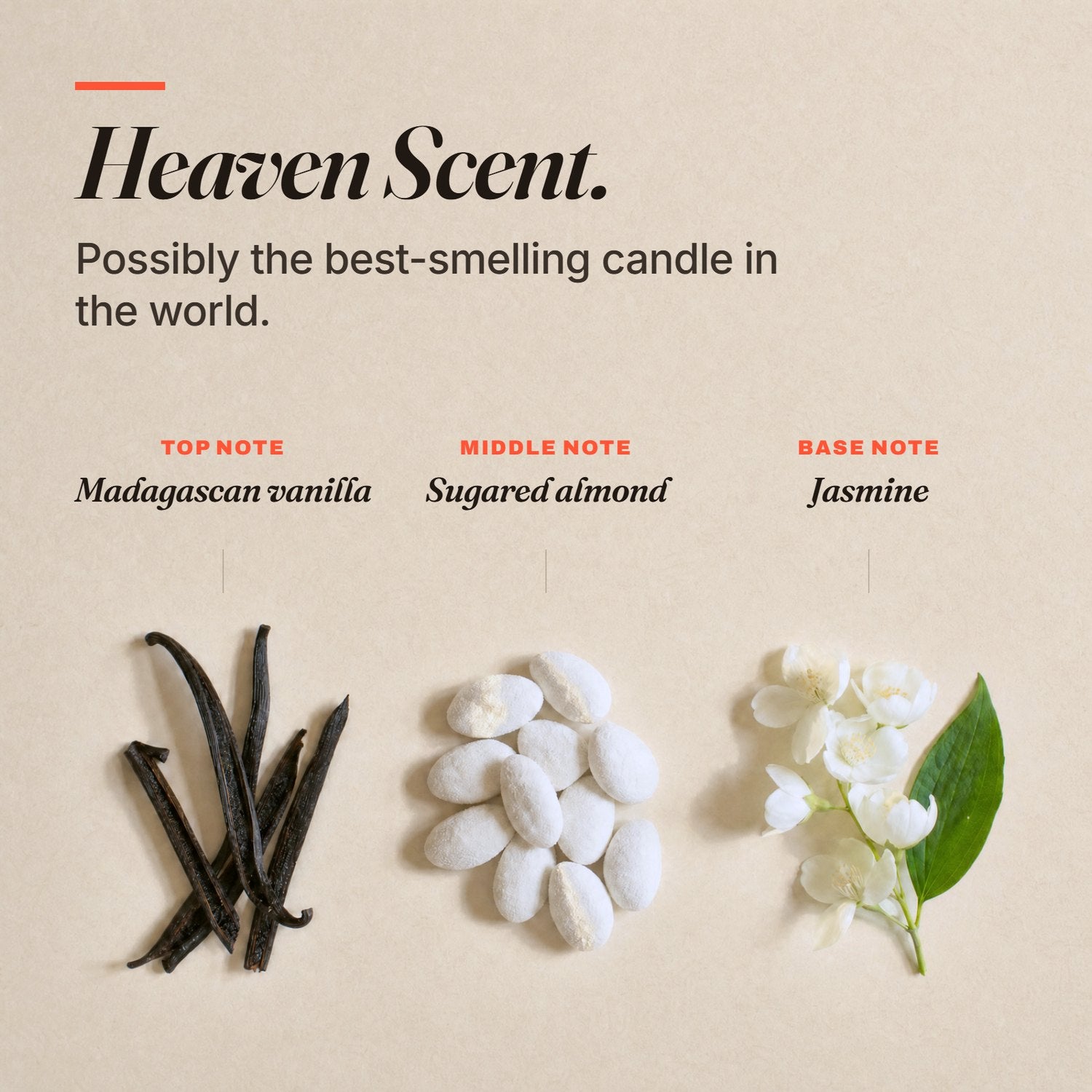Scent notes: Madagascan vanilla, sugared almond and jasmine