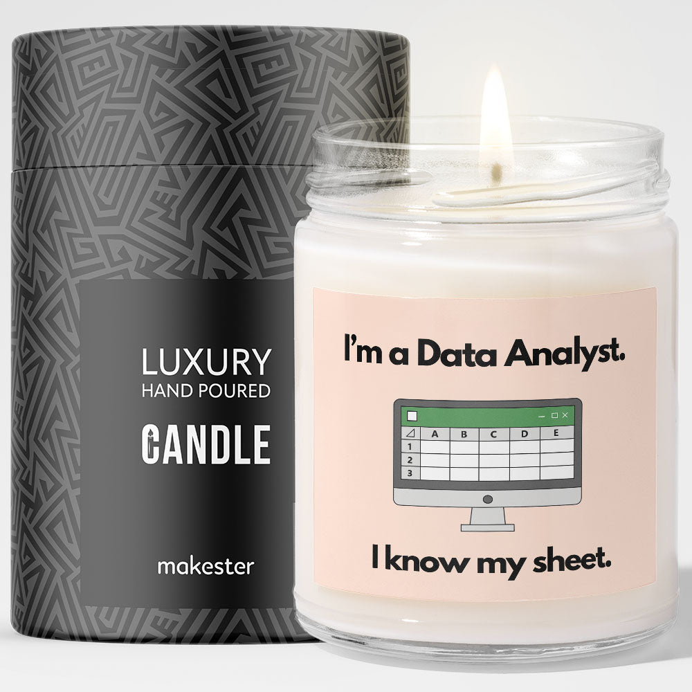 Data Analyst