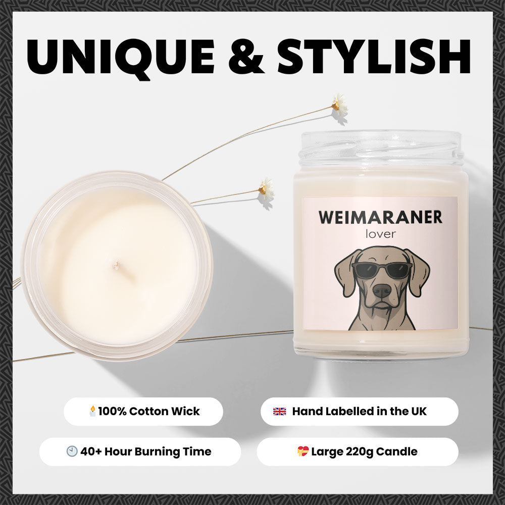 Weimaraner Lover