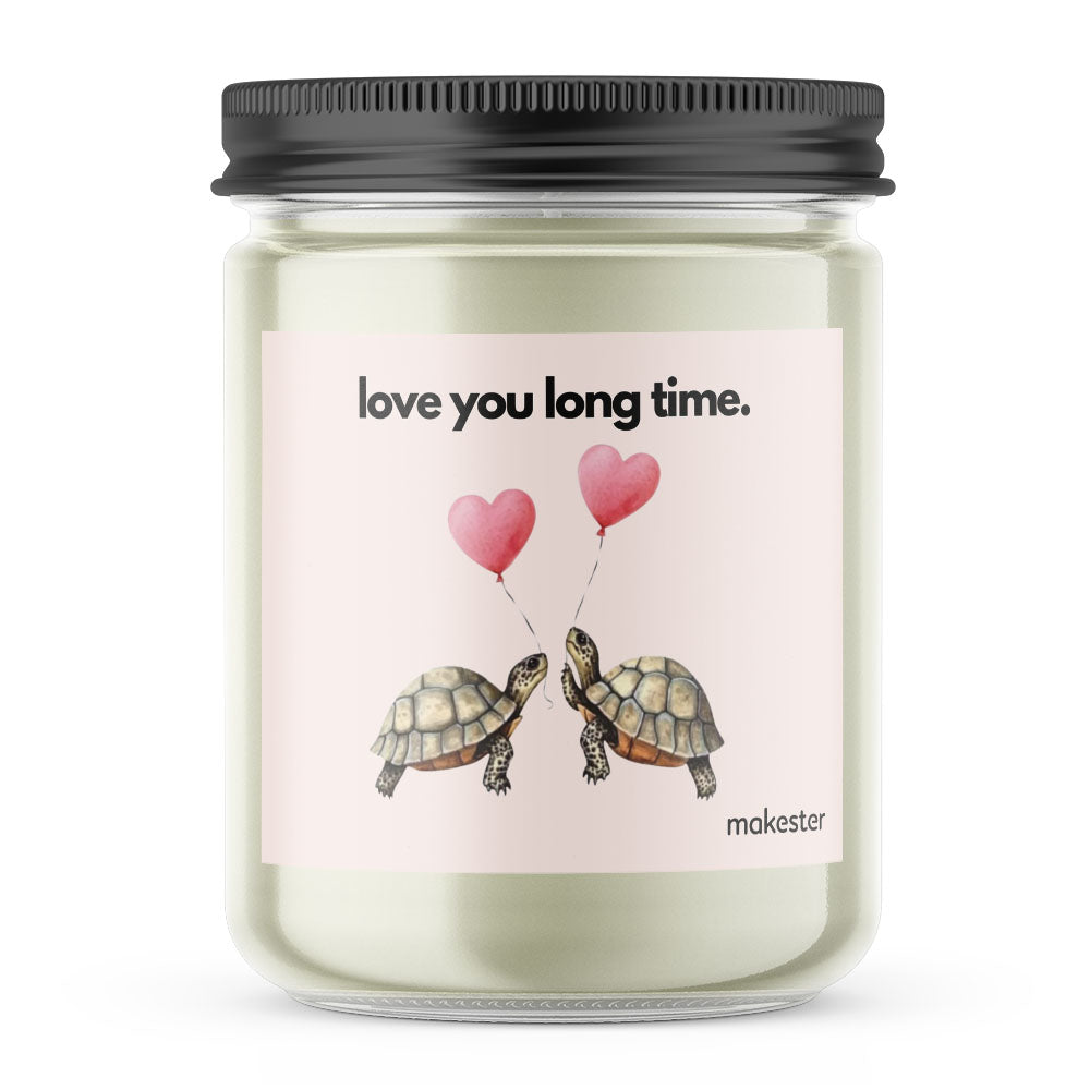 Tortoise Love