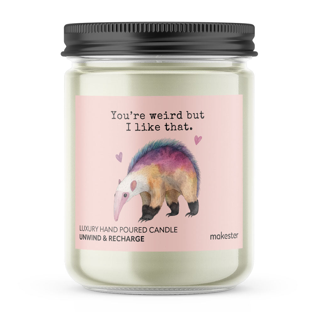 Anteater Weird