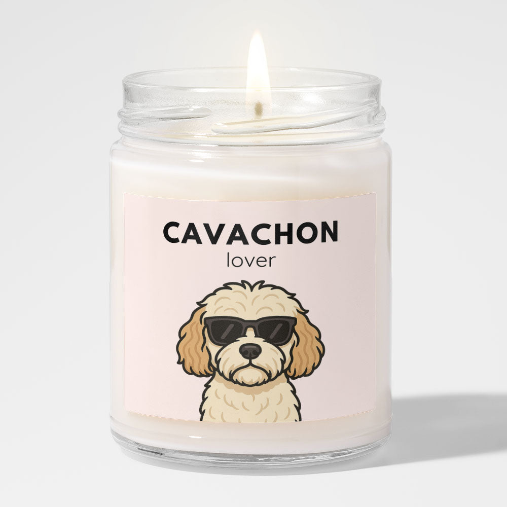 Cavachon Lover