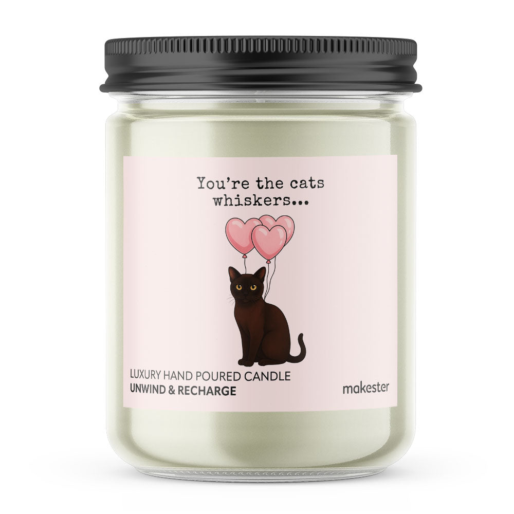 Burmese Cats Whiskers