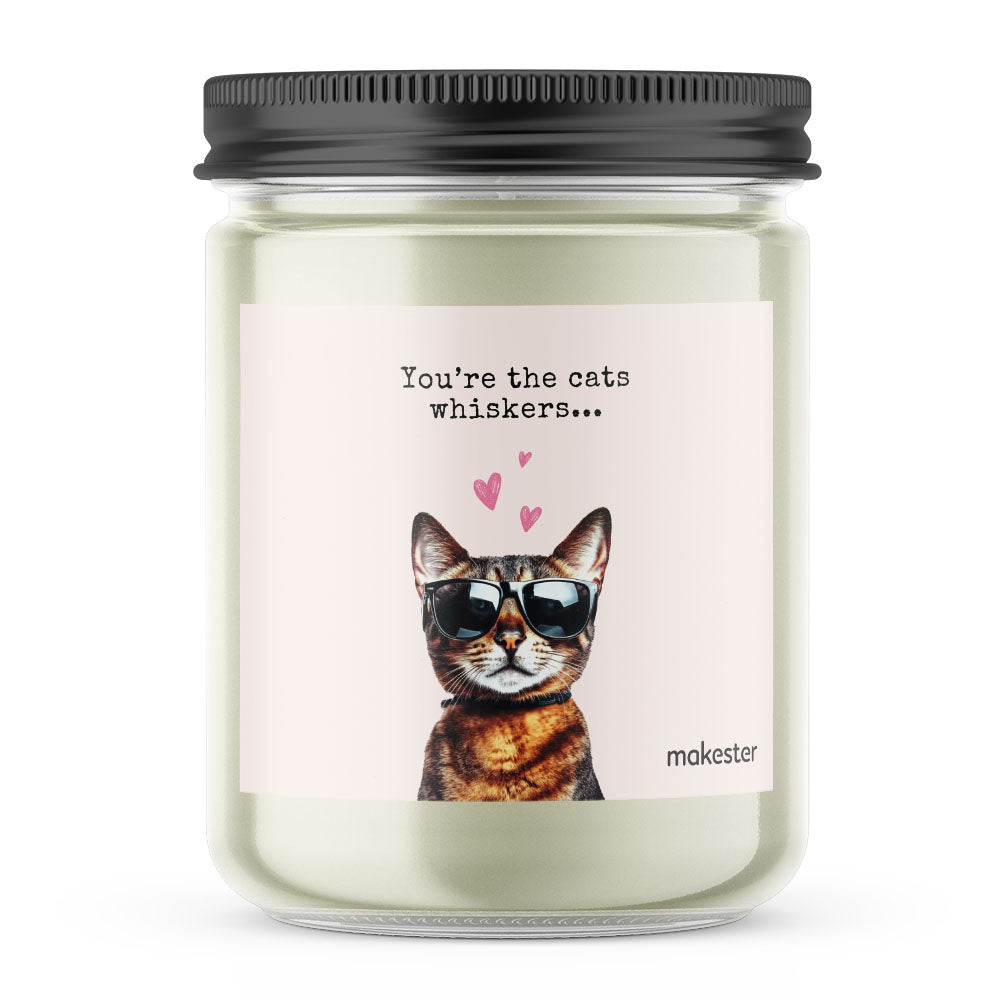 Abyssinian Cats Whiskers