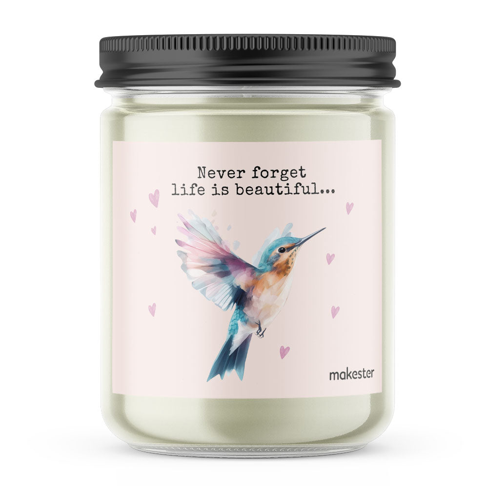 Hummingbird Life