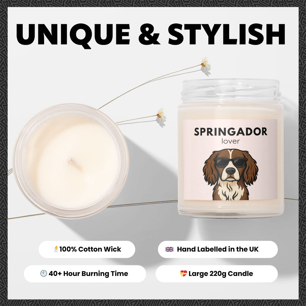 Springador Lover