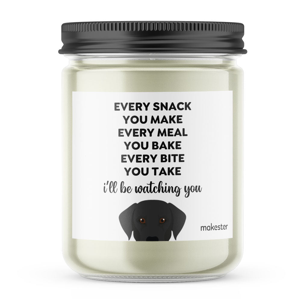 Watching You Black Lab