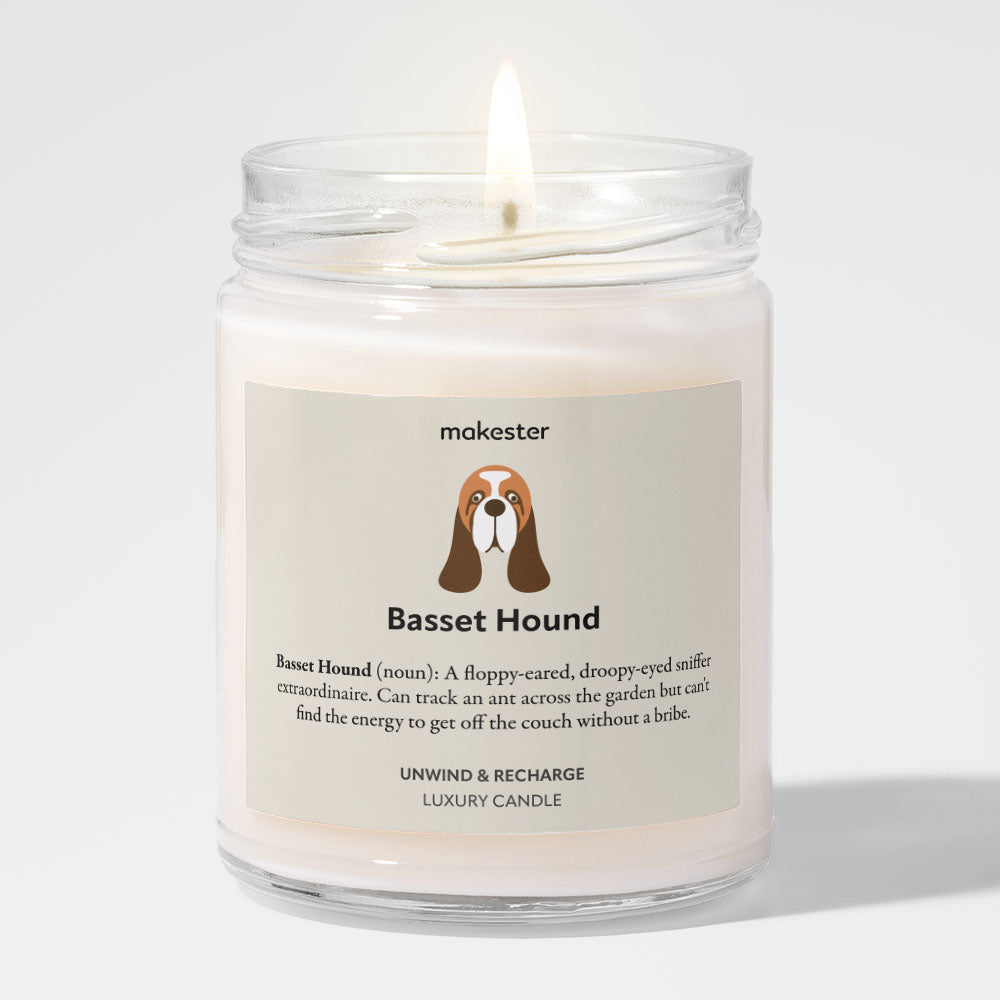 Basset Hound