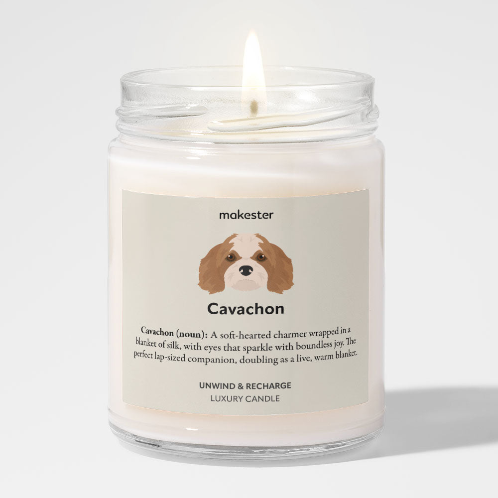 Cavachon