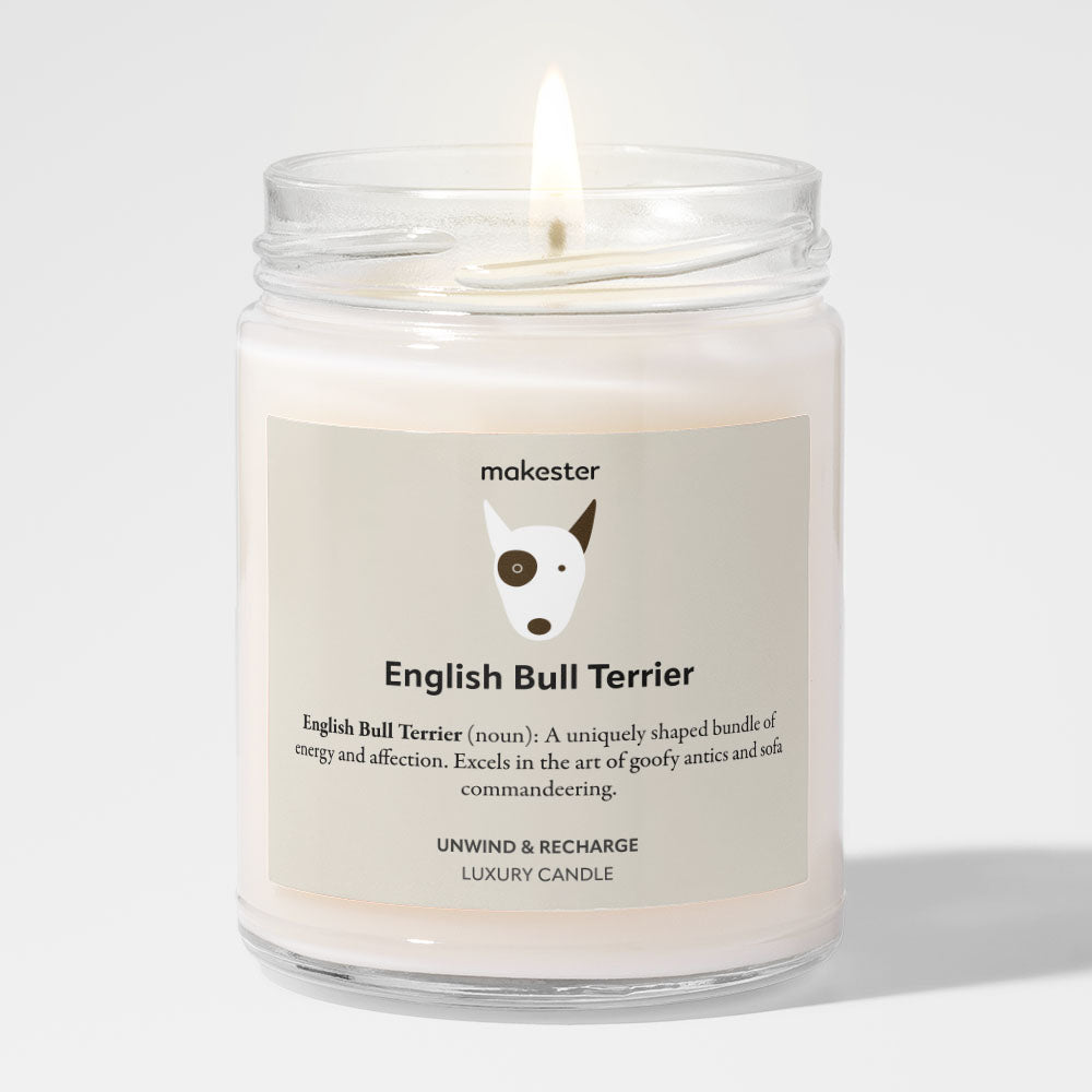 English Bull Terrier