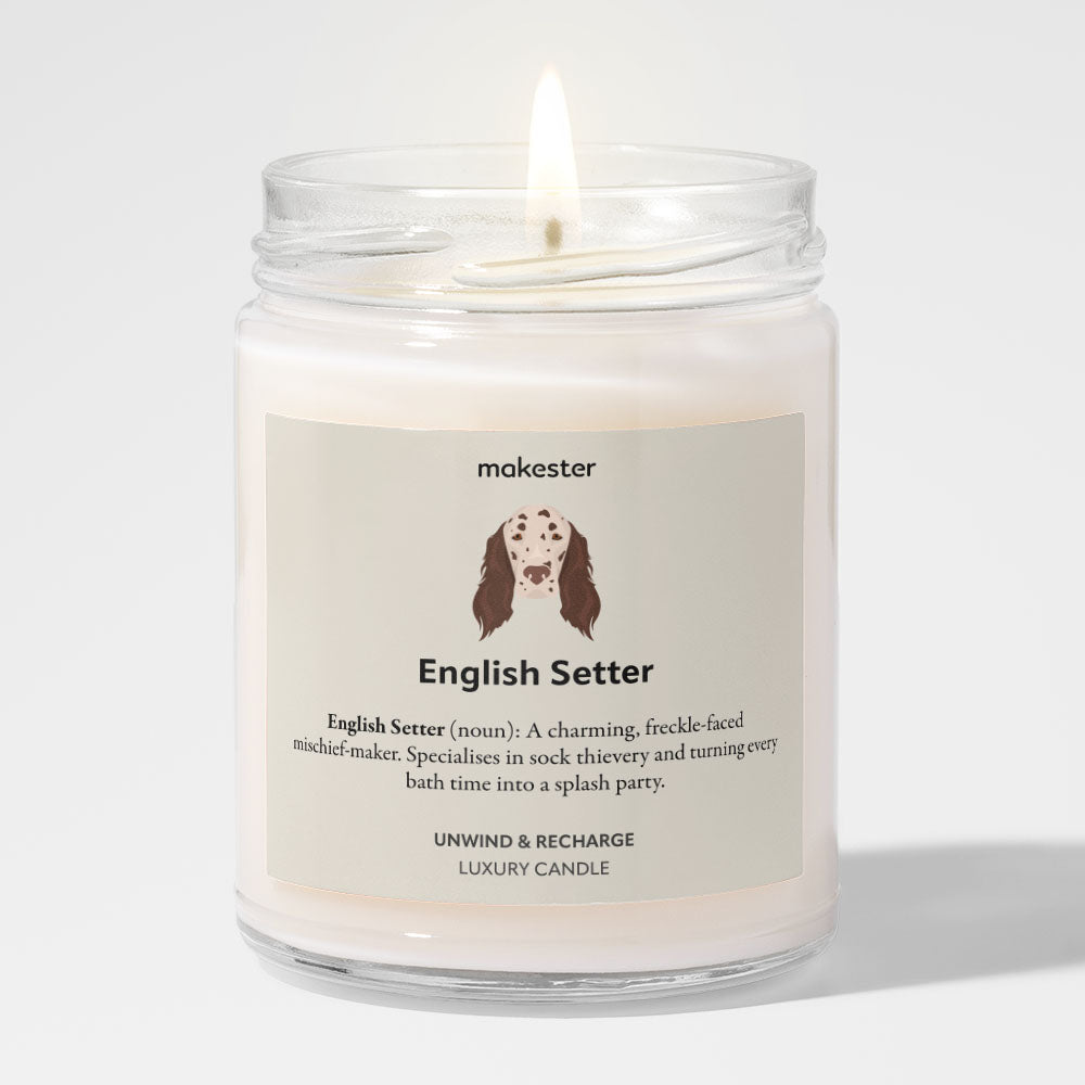 English Setter