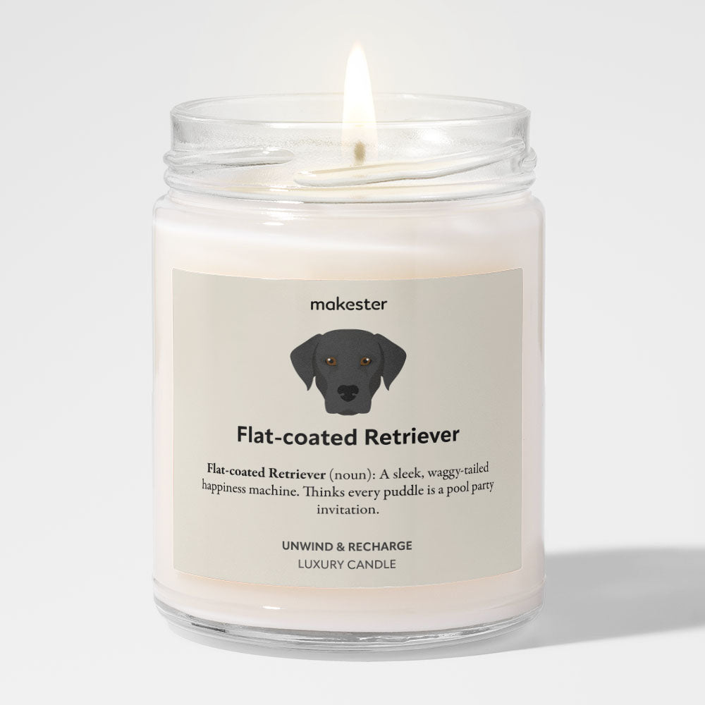 Flat-coated Retriever