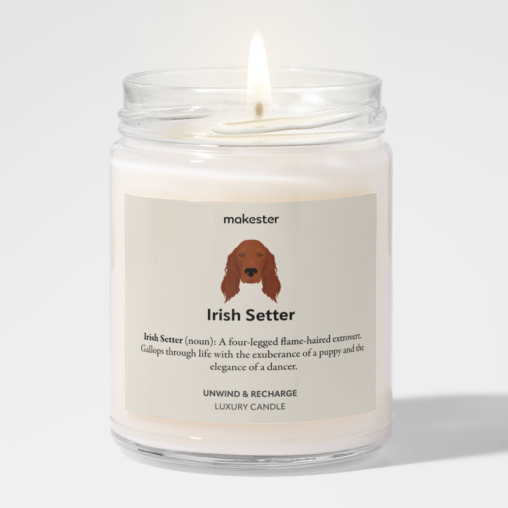 Irish Setter